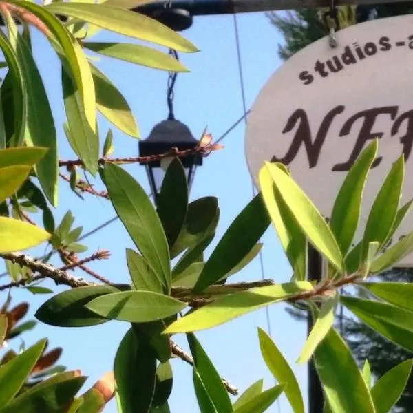 Nefeli Studios, hotel v destinaci Loutra Edipsou