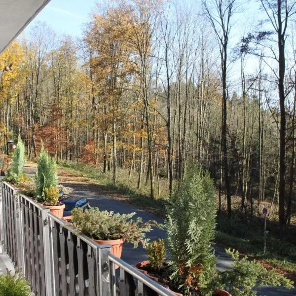 Pension Walddorf, hotel v destinaci Winterberg