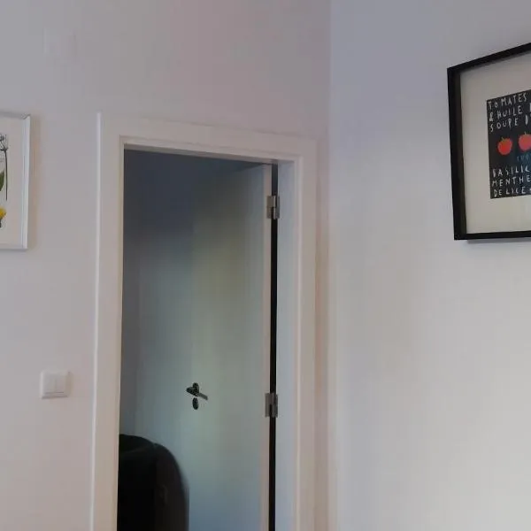 T2 2 bedroom flat in Arroios