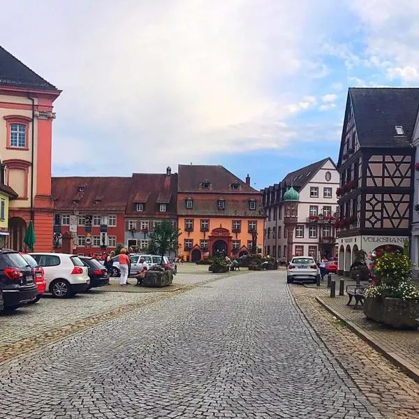 Blackforest Home Gengenbach nahe Europapark Rust, hotel v destinaci Gengenbach