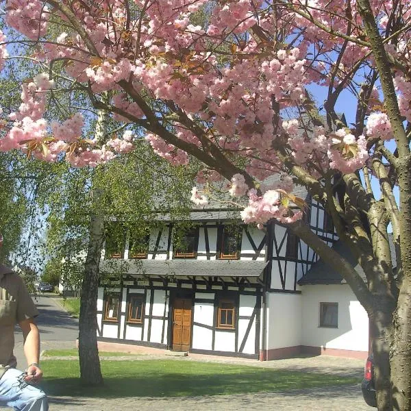 Ferienhaus Schmitt, hotel v destinaci Beltheim