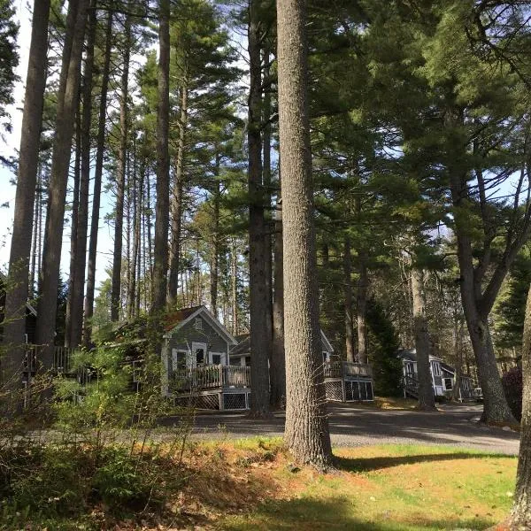 벨페스트에 위치한 호텔 Pine Grove Cottages