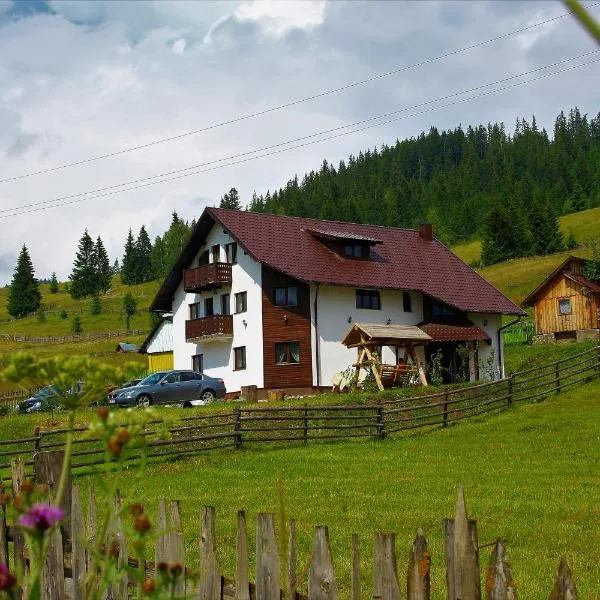 Casa din Plai - Bucovina, hotel in Moldova Suliţa