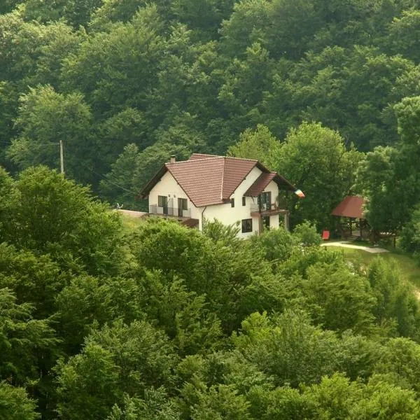 Pensiunea 7 Brazi, hotel in Poiana Mărului