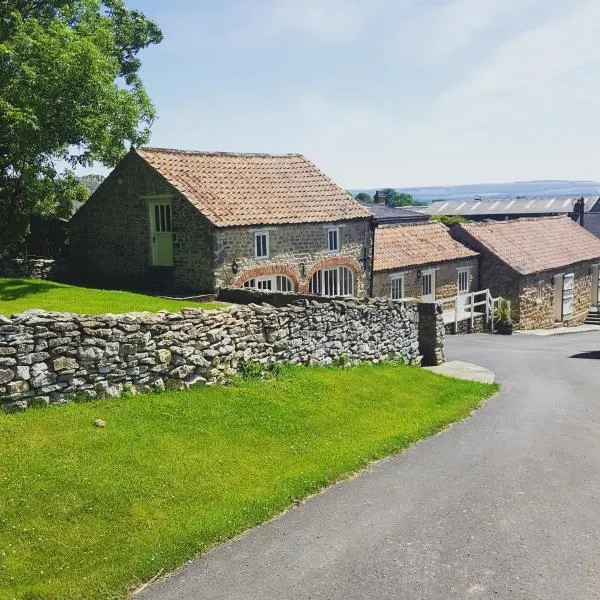 Prospect Farm Cottages、Allerstonのホテル