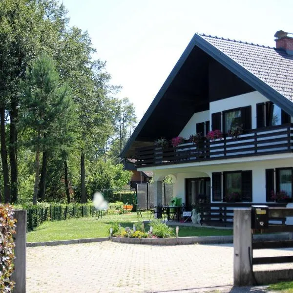 Lake House Apartment, hotel in Medvode