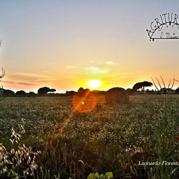 Agriturismo San Matteo, hotel in Tarquinia