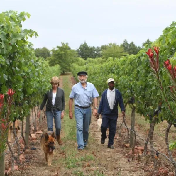 Belfield Wines and Farm Cottages, hotel di Elgin