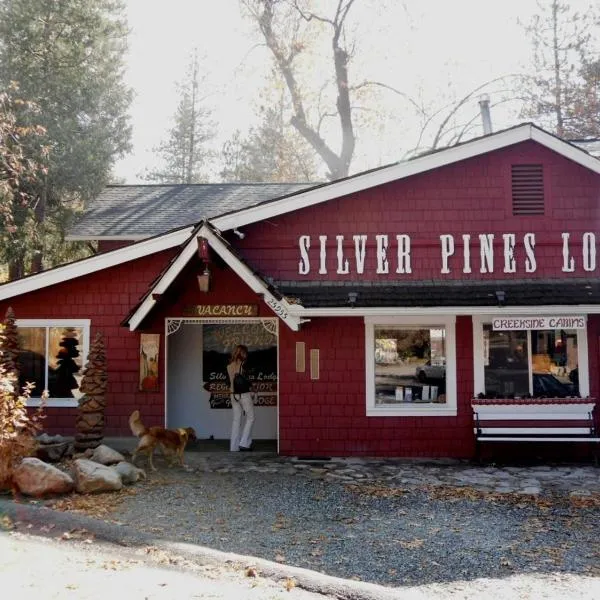 Silver Pines Lodge, hotel em Idyllwild