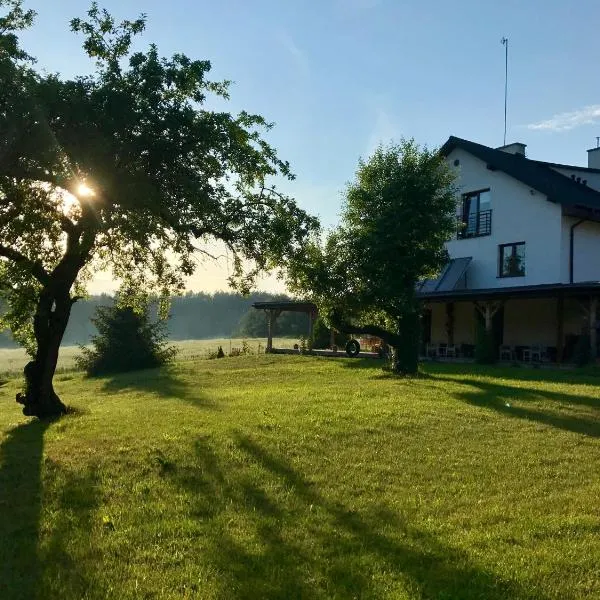 Villa Podlachia, hotel in Sokołów Podlaski