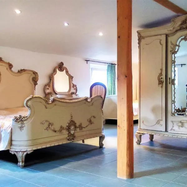 Ubytovani Sarka, hotel v destinaci Čistá