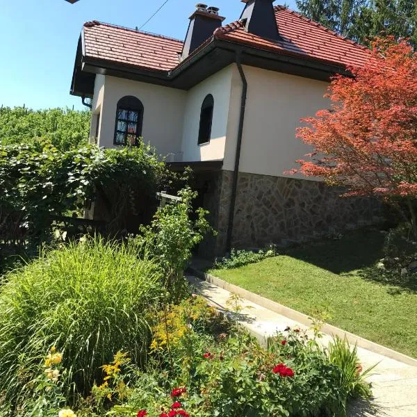 Wine & Nature & Tour, hôtel à Pristava