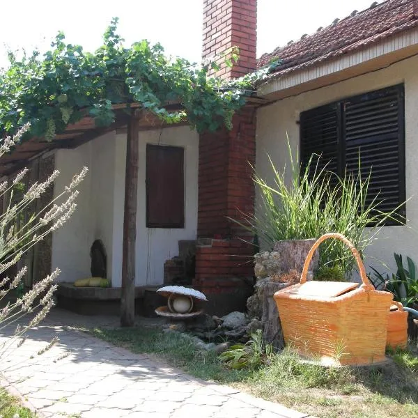 Pržić House, hotel in Negotin