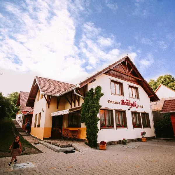 Bosnyák Panzió, hotel in Izvoare