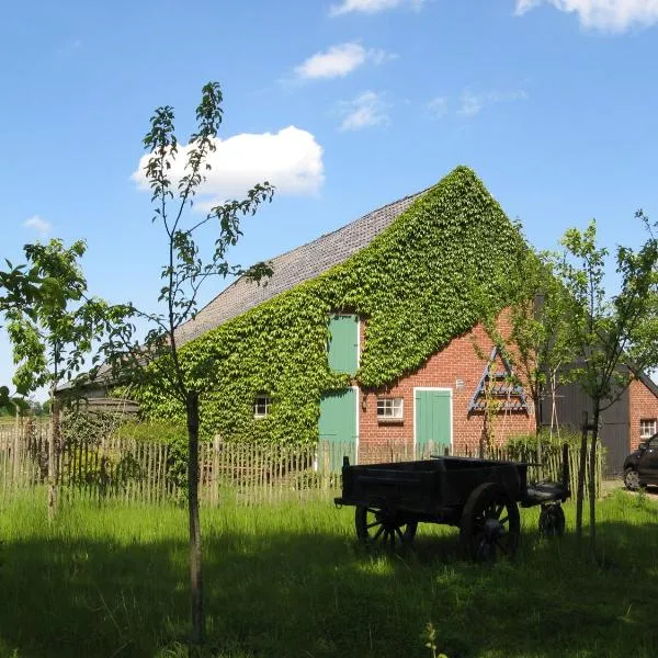 't Zwaluwennest, hotel en Valthermond