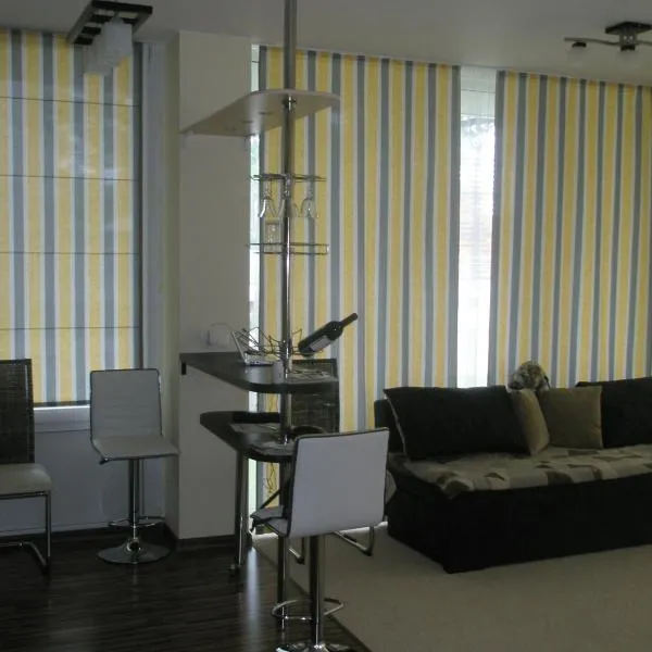Apartment near Airport, hotel v Rigi