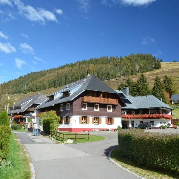 Ferienwohnungen Sternenthal, hotel in Menzenschwand
