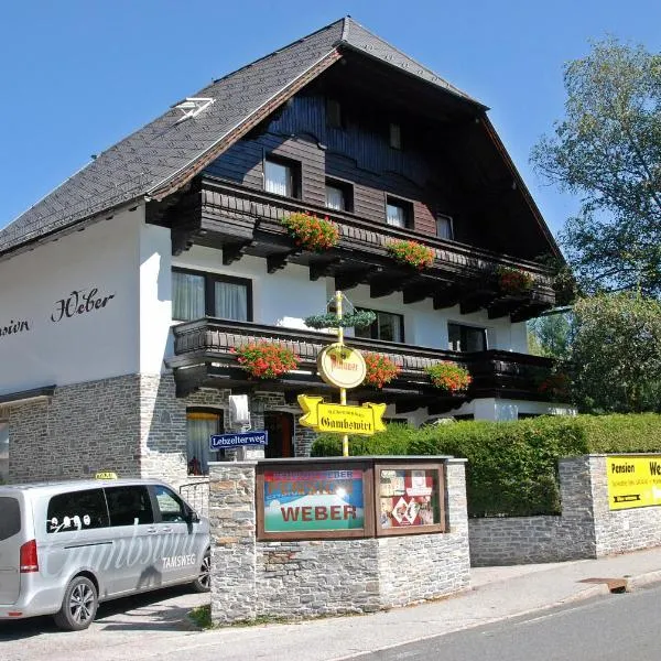 Pension Weber, hotel in Predlitz