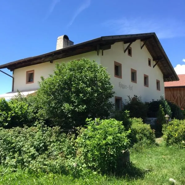 Pension Höggerhof, hotell sihtkohas Nova Ponente