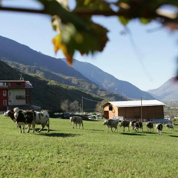 Agriturismo Stella Orobica、Albosaggiaのホテル