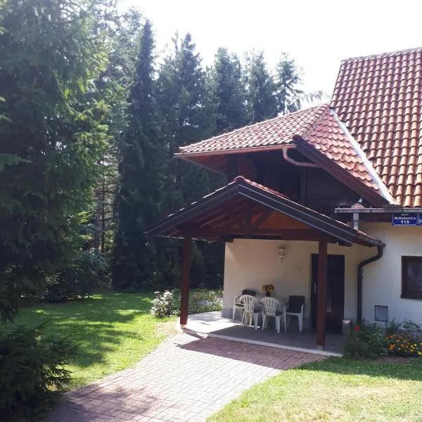 Apartmani U Borovoj Šumi, hotel in Zlatibor