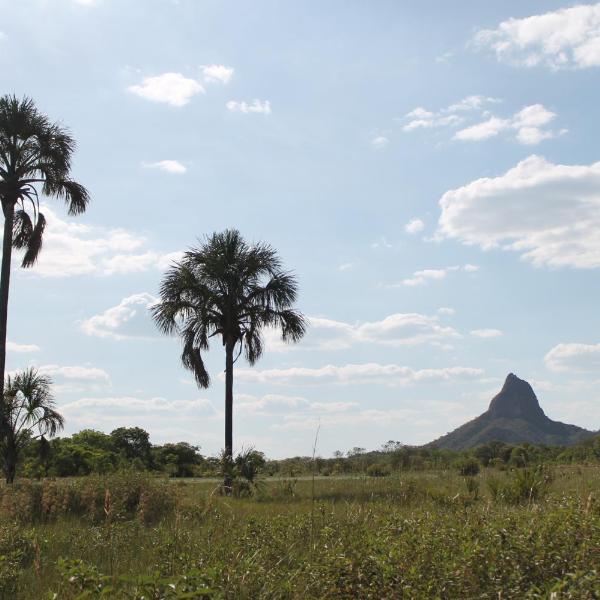 Pousada Sertão Veredas - Terra Ronca - Foto 5
