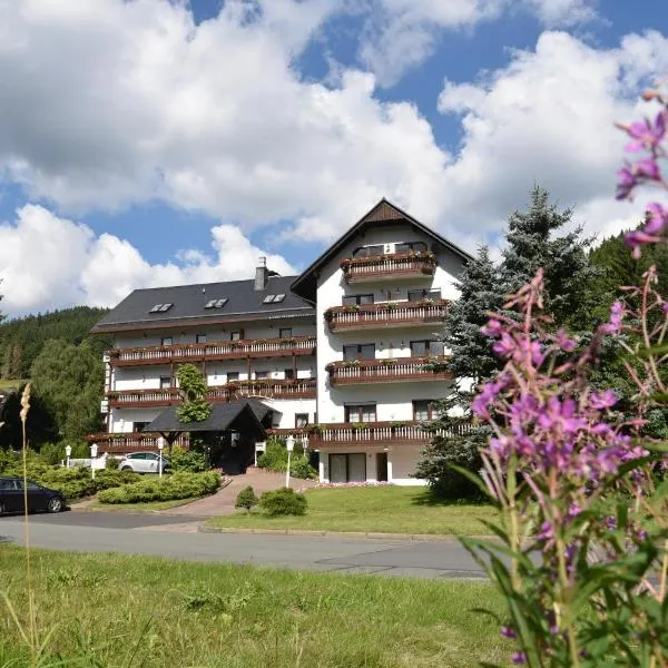 Hotel Thüringer Wald, hotel a Ilmenau