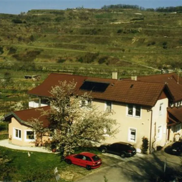 Winzerhof Baumer, hotel in Vogtsburg