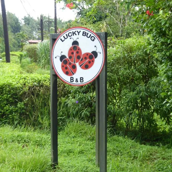 Lucky Bug Bed And Breakfast, hotel in Mata de Caña