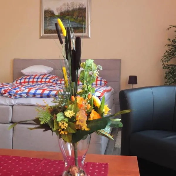 Country House Baranjski Tulipan, hotel in Batina