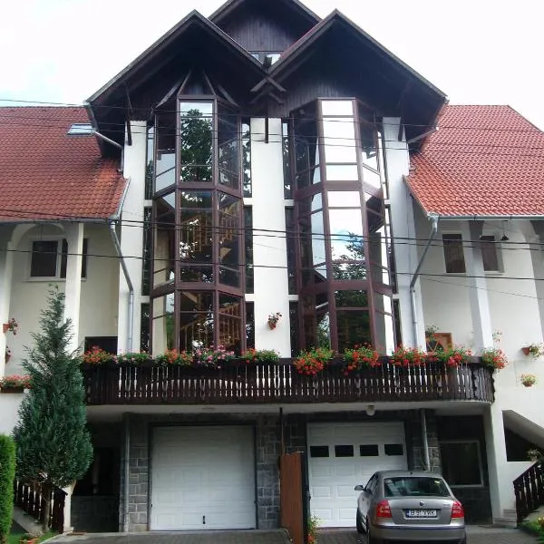 Casa Anette, hotel v destinaci Sovata