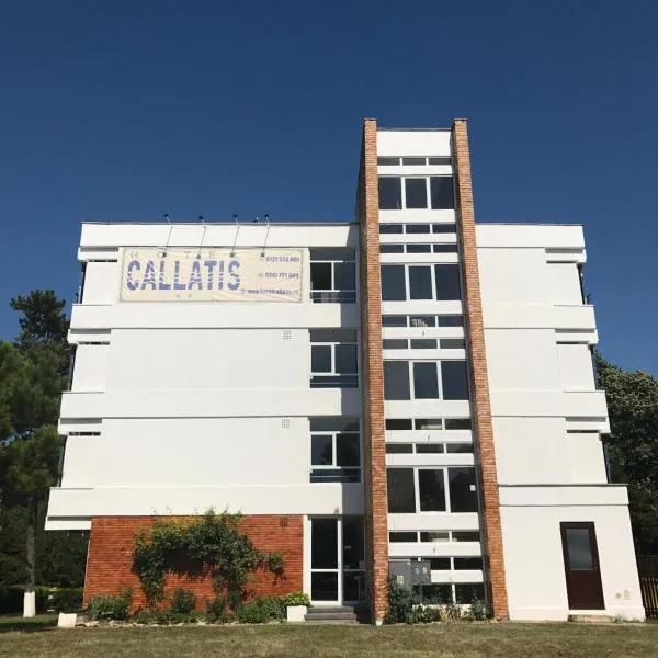 Hotel Callatis, hôtel à Pecineaga