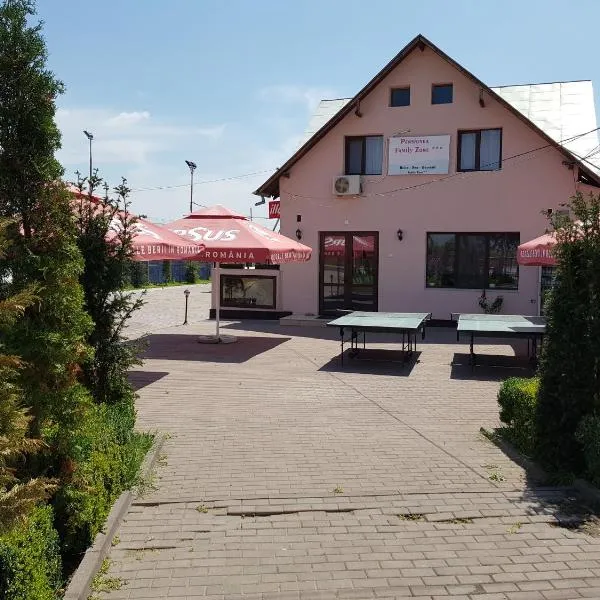 Pensiunea Family Zone, hotel in Roşiori de Vede