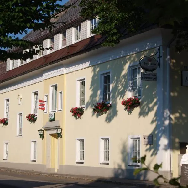 Gasthaus-Pension Schwarzer Graf，溫迪施加爾施騰的飯店