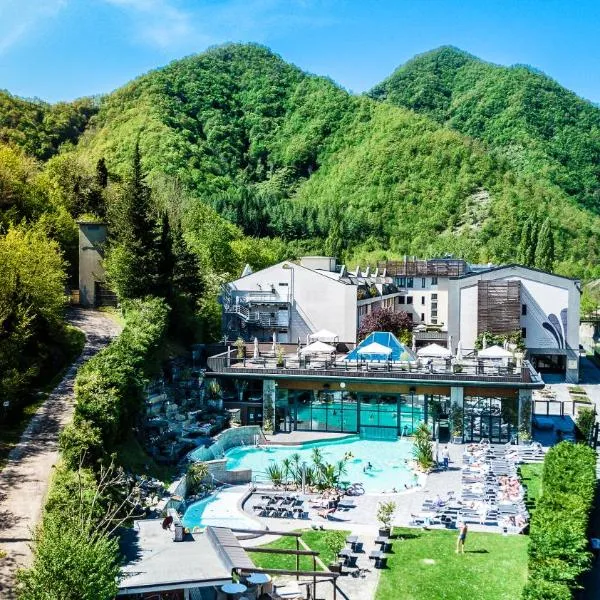 Ròseo Euroterme Wellness Resort, hotel en Bagno di Romagna