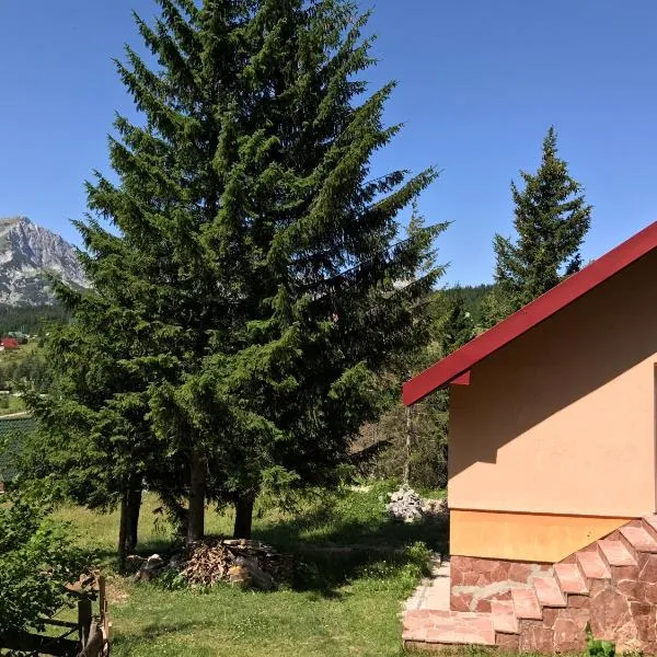 Durmitor Apartments Holiday, hotel v destinaci Žabljak