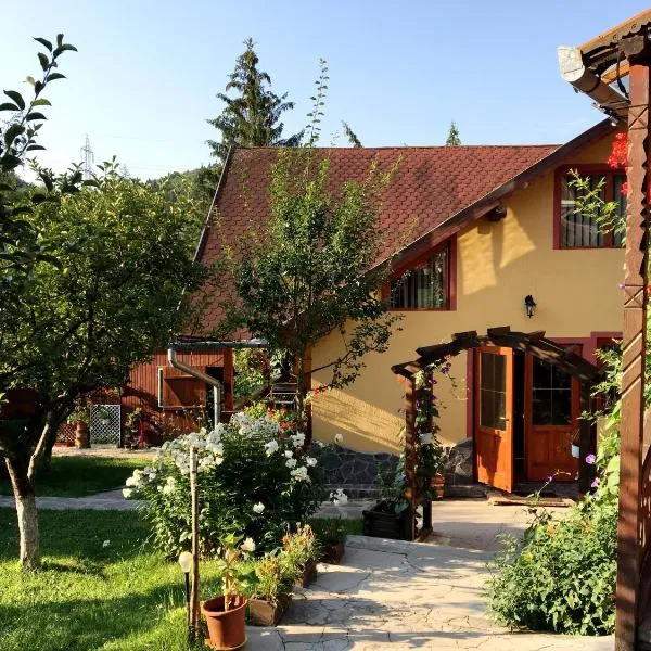 Pensiunea Gentiana, hotel en Izvoru Mureşului
