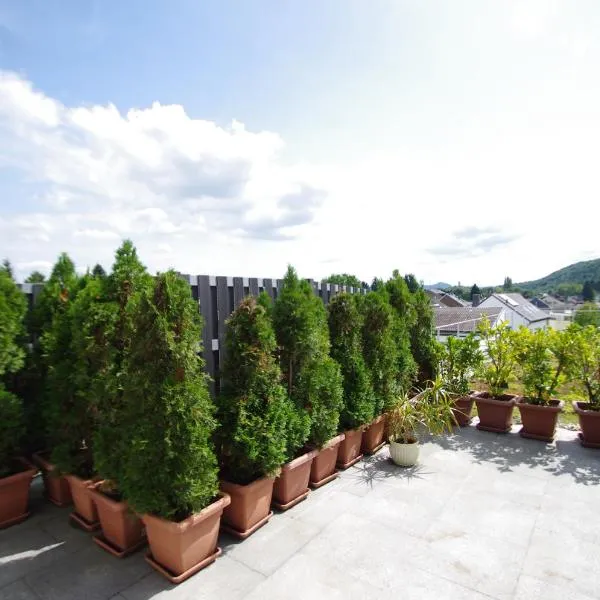 Luxury-Apartment Alexandra、ボンのホテル