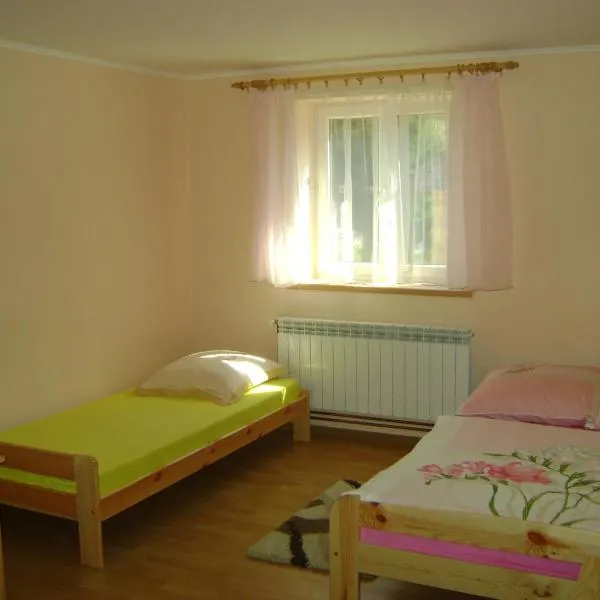 Pokoje nad strumykiem w Polanczyku tel 13- 469 -2257，波蘭茲克的飯店