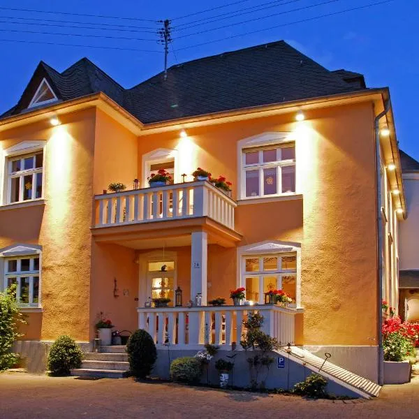 Weingut und Gästehaus Apel, khách sạn ở Nittel