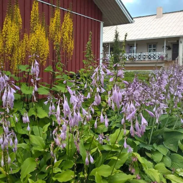 Tohninmäen Talo, hotel in Suninsalmi