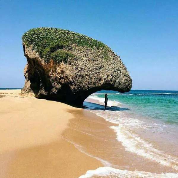 Walk to the Beach 2Min, Cozy, Boutique, Pool, Palmeras Del Mar Isabela, hotel v destinaci Isabela