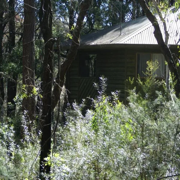Twin Falls Bush Cottages, hotel v destinaci Fitzroy Falls