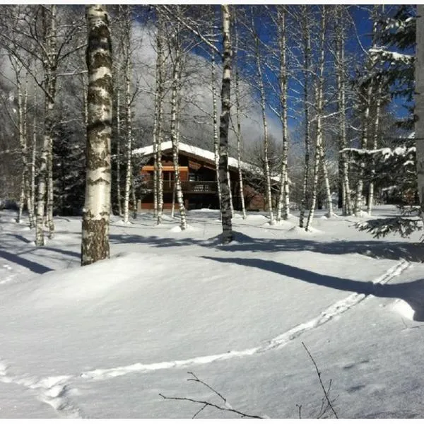 Chalet Champraz - Free Parking, hotel in Chamonix