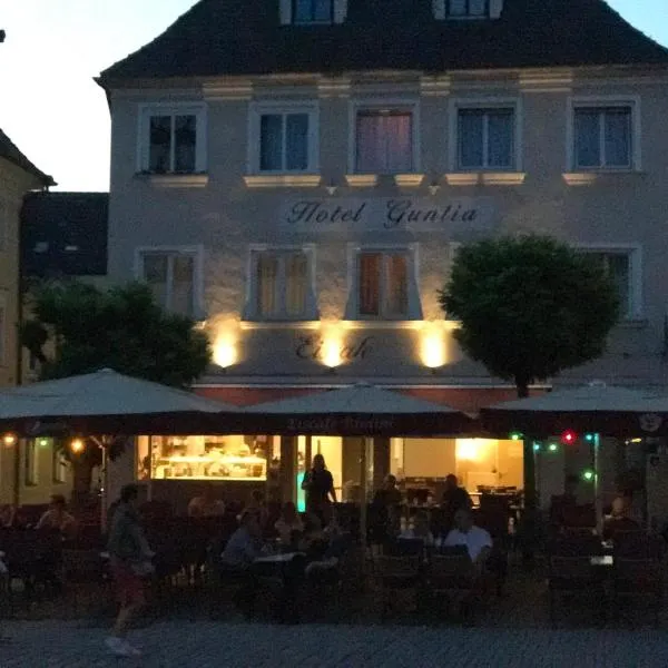 Hotel Guntia Boardinghouse, hotel en Günzburg