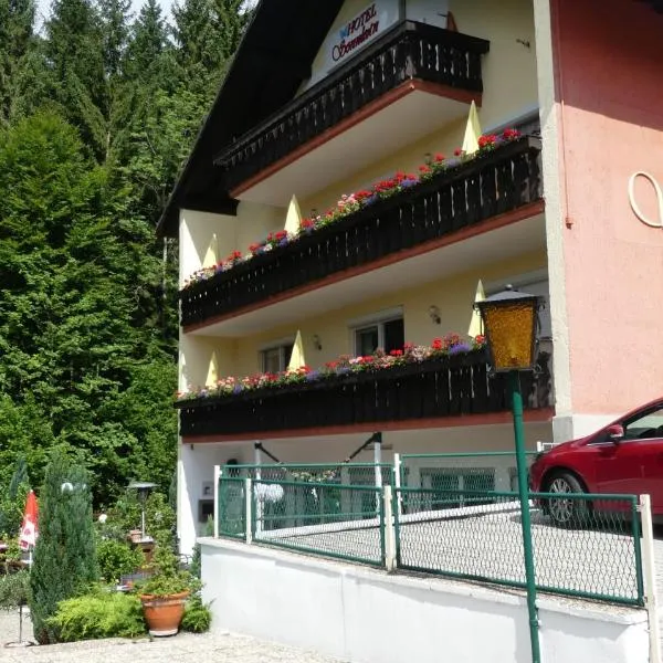 Hotel Sonnleitn, hotel i Bodenmais