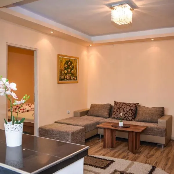 Apartment Ruža, hotel u gradu Kladovo