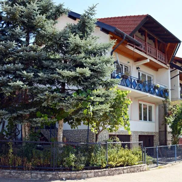 "Athos"apartment potkrovlje, hotel in Staro Rudo