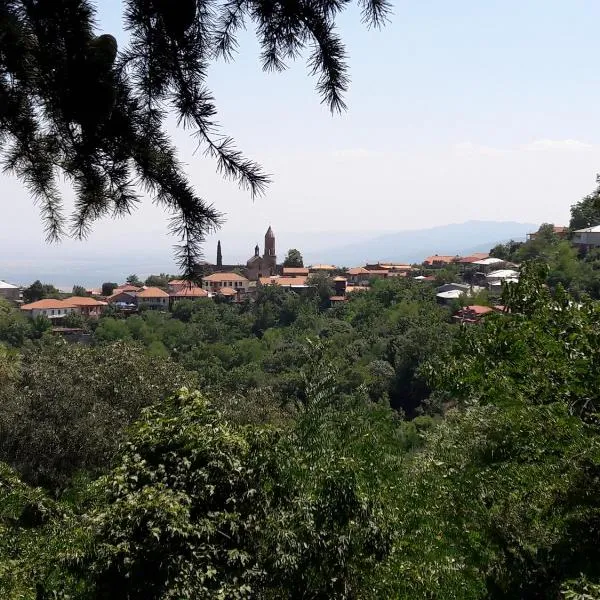 Goga Guesthouse, hotel in Sighnaghi