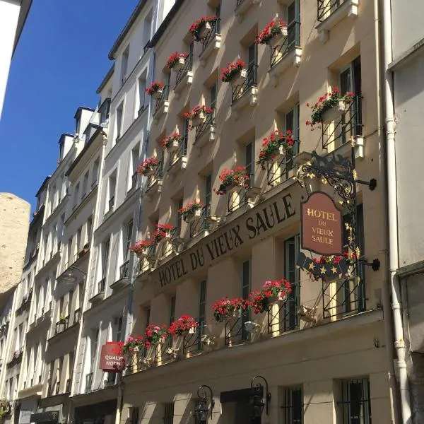 Hôtel Du Vieux Saule